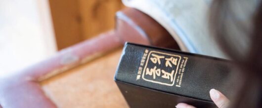 14222222_1694341044222627_7678349418626633966_n